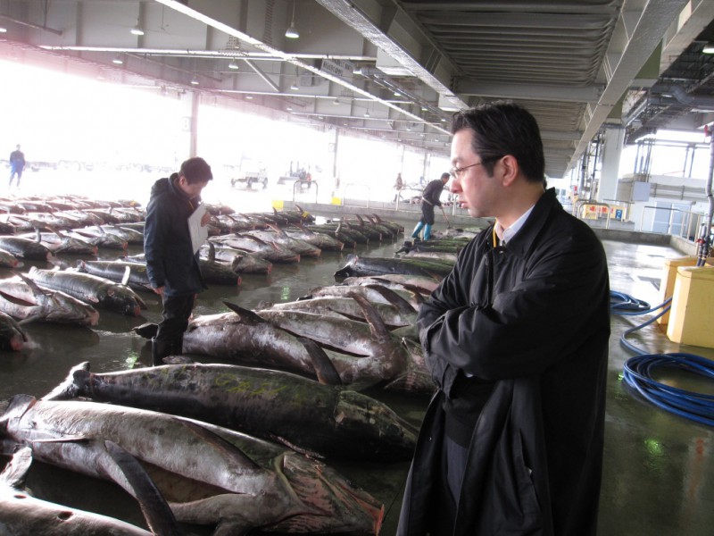 気仙沼魚市場を視察