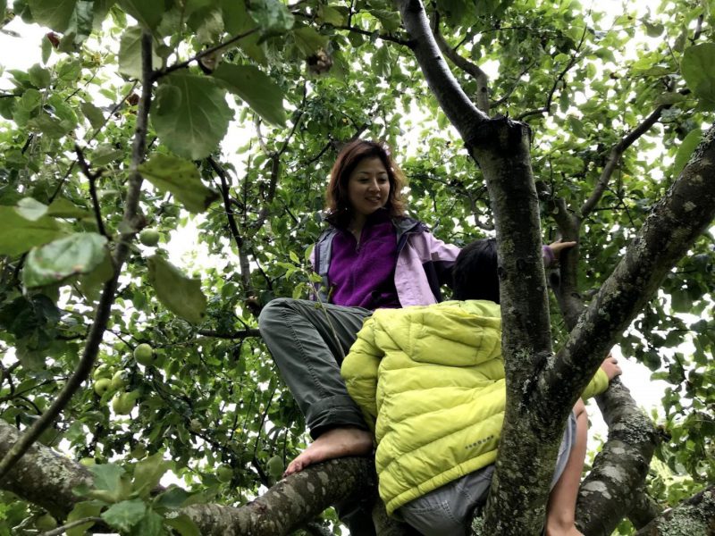 農園にはあらゆるところにフルーツがなっていて、取り放題。思わず木登りをしたら「上手だね、日本でも木登りするの？」と言われたそう。（日本ではしたことがありません（笑））
